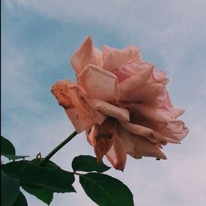 Meet your Posher, Eleni